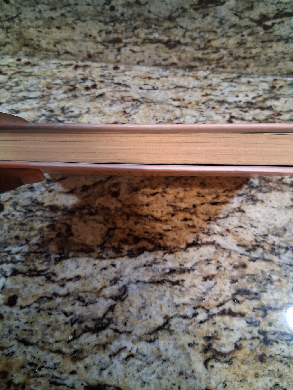 "The Only Woman in the Room" - Coral & Gray Paperback Novel - Picture 3 of 5
